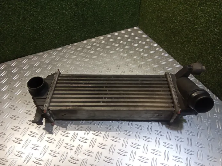 Mercedes-Benz Citan W415 Chłodnica powietrza doładowującego / Intercooler 144963234R