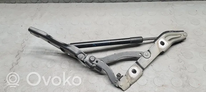 BMW 3 E92 E93 Cerniere del vano motore/cofano 7060627