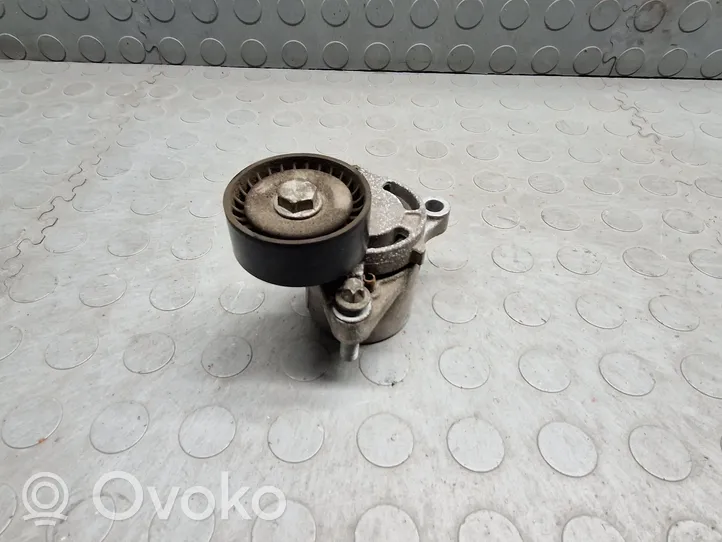 BMW 1 F20 F21 Napinacz paska wielorowkowego / Alternatora 7619248