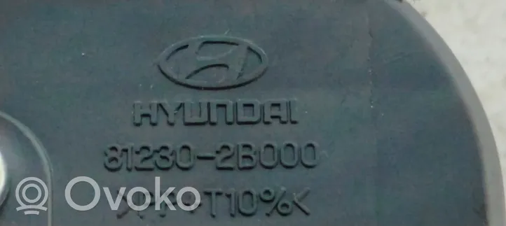 Hyundai Santa Fe Spyna galinio borto 812302B000