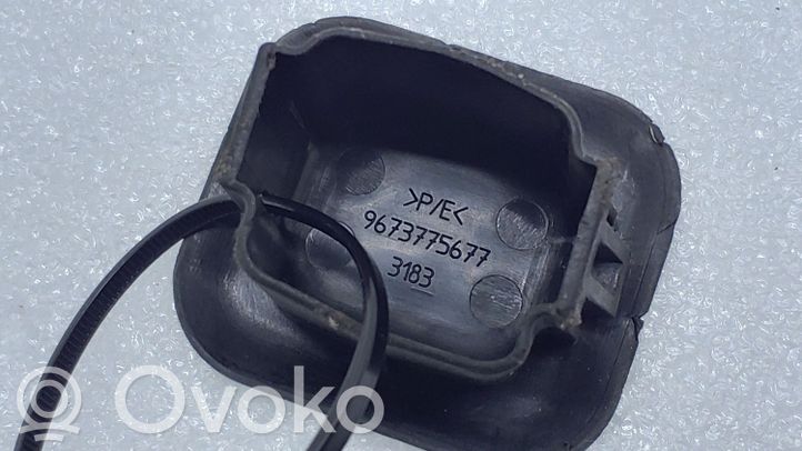 9673775677 Peugeot 5008 II Tailgate trim, 4.99 € | RRR 