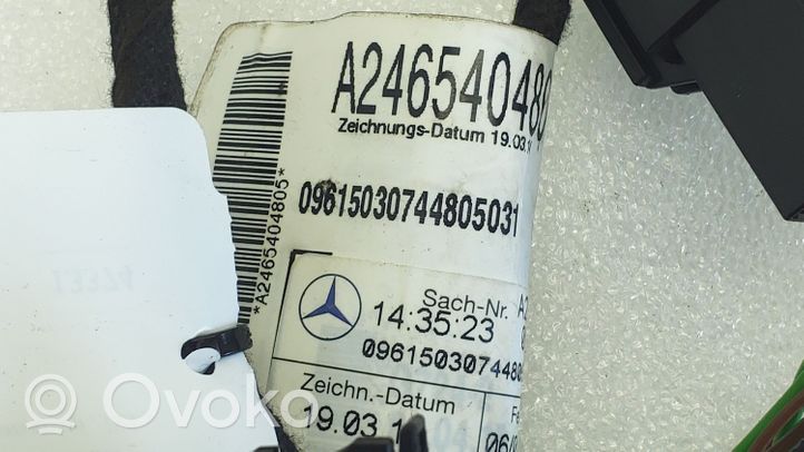 Mercedes-Benz A W176 Wiązka przewodów drzwi przednich A2465404805