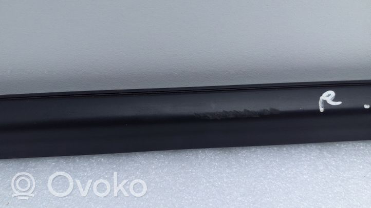 Hyundai Santa Fe Rear door glass trim molding 