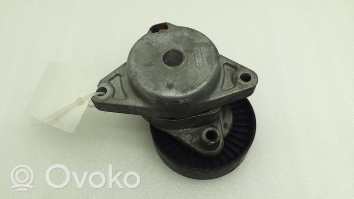 Mercedes-Benz CL C215 Napinacz paska alternatora A1122000970