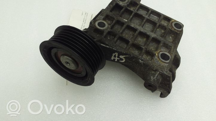 Audi A5 8T 8F Napinacz paska wielorowkowego / Alternatora 059903143S