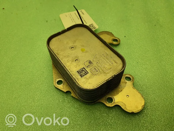 Citroen C4 III e-C4 Supporto di montaggio del filtro dell’olio 311220