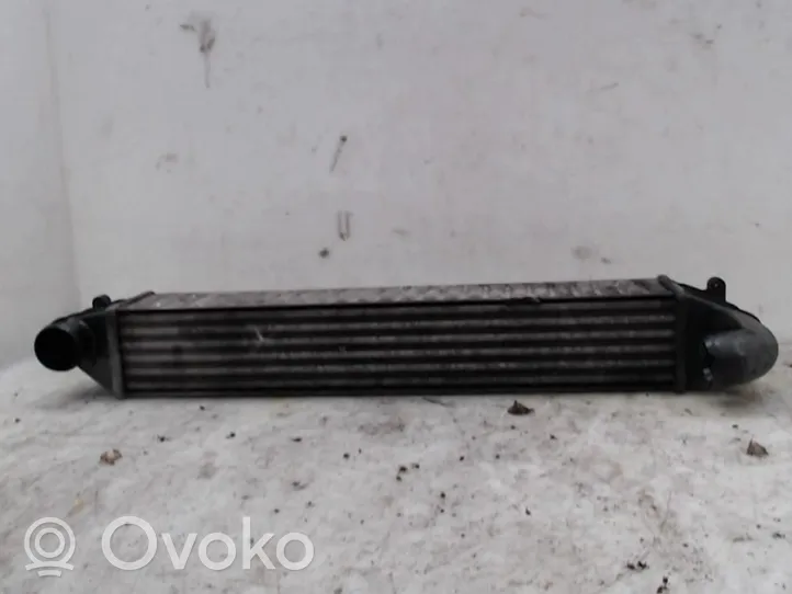 Seat Alhambra (Mk1) Radiatore intercooler 7M3145805