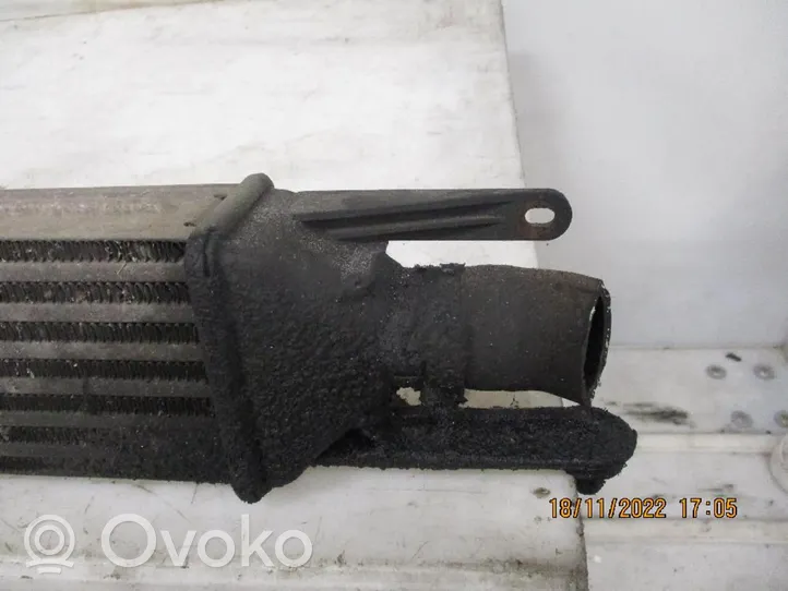 Fiat Grande Punto Chłodnica powietrza doładowującego / Intercooler 55702237