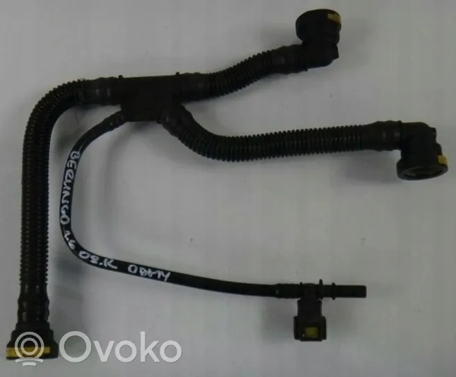 Citroen Berlingo Odpowietrznik / Separator oleju 3842132