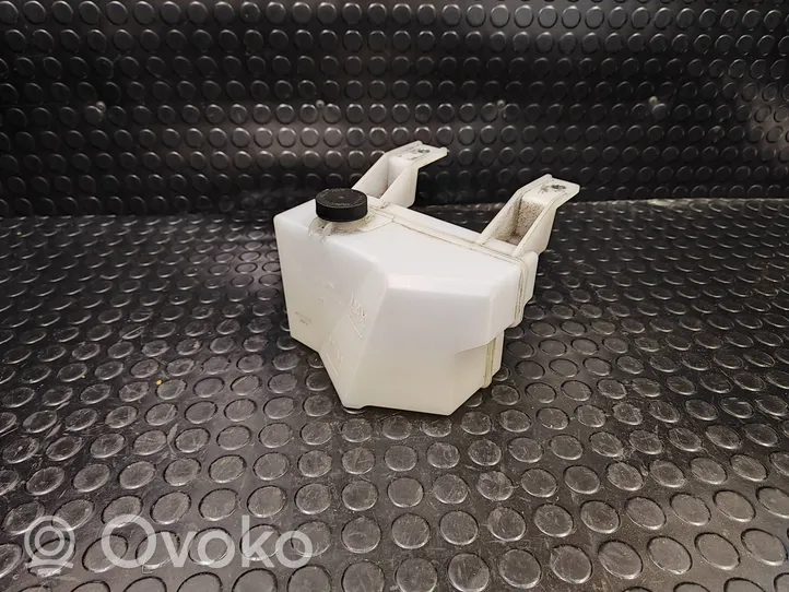Nissan Leaf I (ZE0) Serbatoio di compensazione del liquido refrigerante/vaschetta 