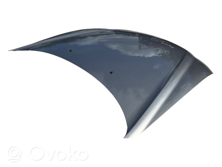 Hyundai Sonata Engine bonnet/hood 