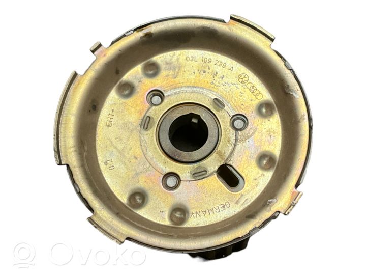 Audi A4 S4 B8 8K Puleggia dell’albero a camme/VANOS 03L109239A