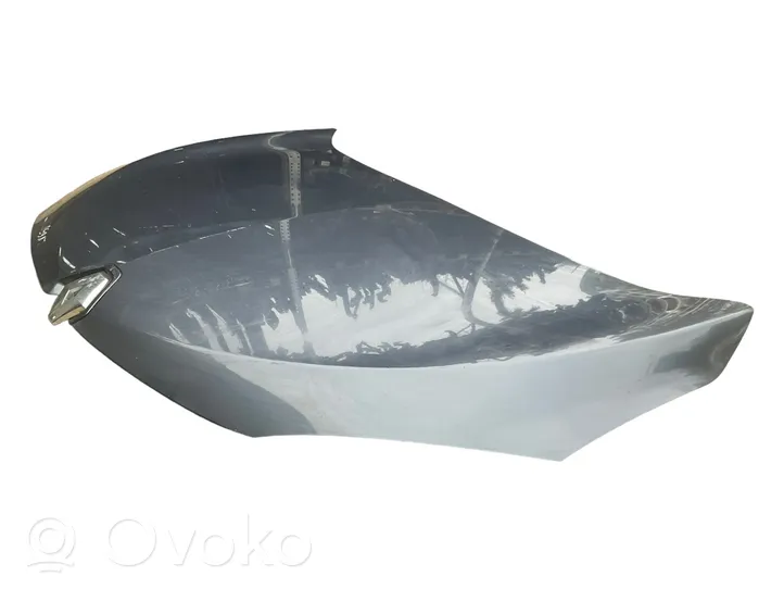 Renault Megane III Engine bonnet/hood 651220005R