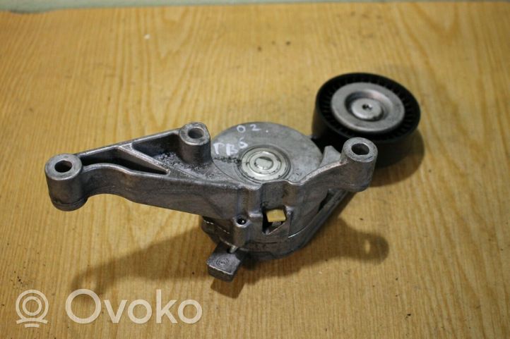 Volkswagen PASSAT B6 Napinacz paska alternatora 03G903315C