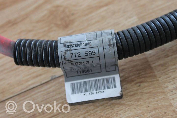 BMW 3 E46 Wires (generator/alternator) 1712599