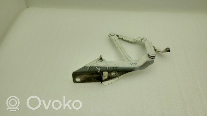 Audi TT TTS Mk2 Cerniere del vano motore/cofano 8J0823302H