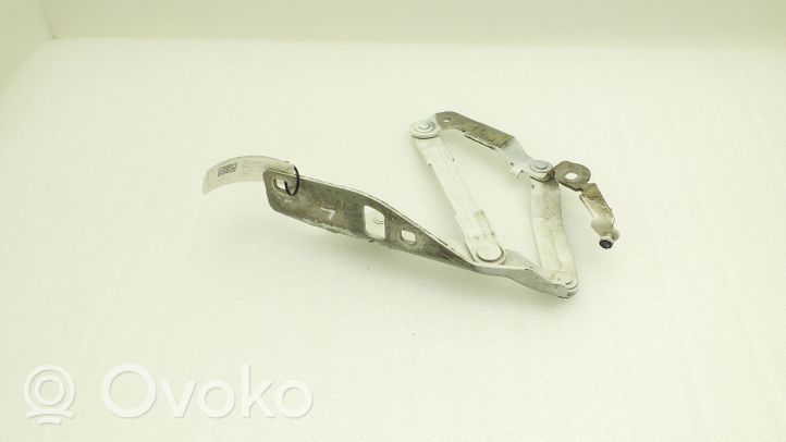 Audi TT TTS Mk2 Engine bonnet/hood hinges 8J0823301H