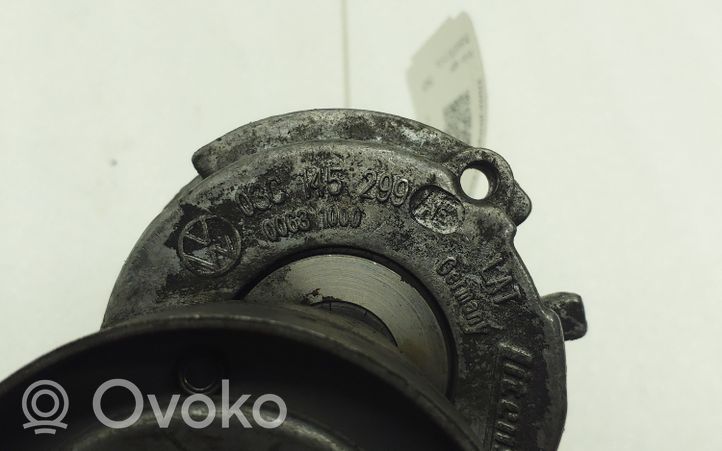 Volkswagen PASSAT B7 Napinacz paska alternatora 03C145299