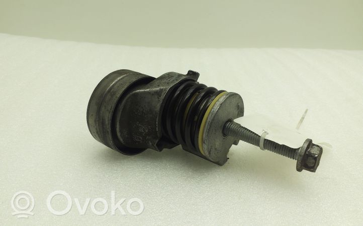 Volkswagen PASSAT B7 Napinacz paska alternatora 03C145299