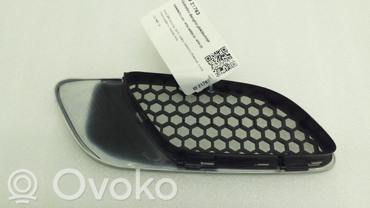 8042978 BMW 3 E92 E93 Ziergitter Motorhaube, 29.99 € | RRR