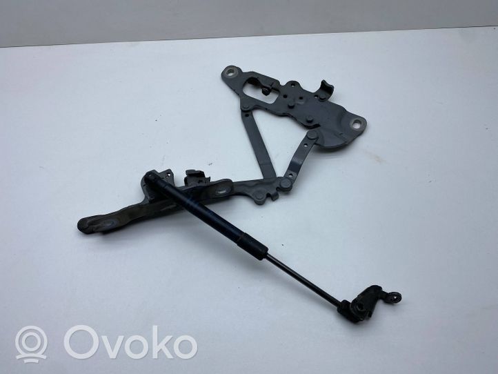 BMW 5 F10 F11 Cerniere del vano motore/cofano 7249887