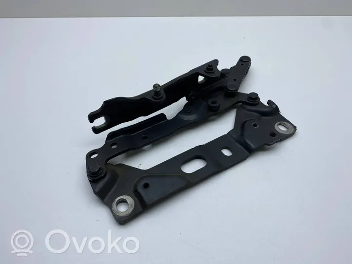 BMW 7 F01 F02 F03 F04 Cerniere del vano motore/cofano 7184190