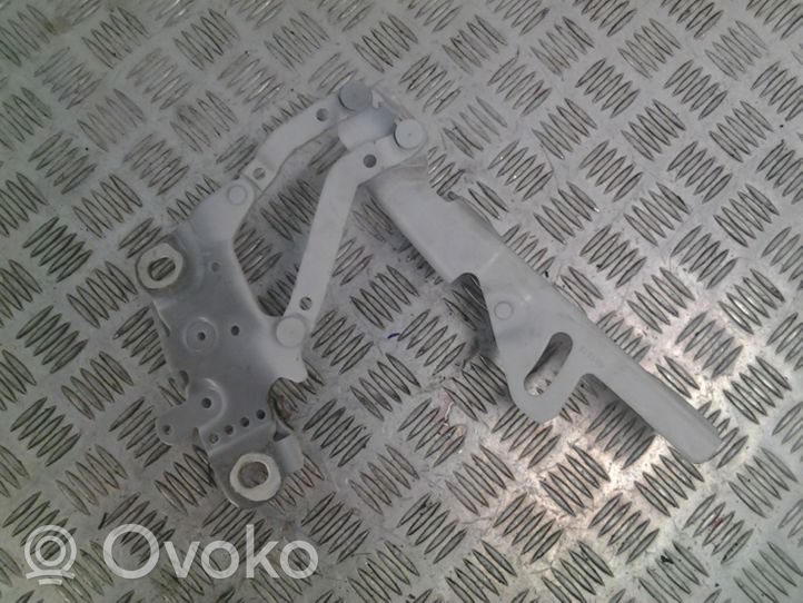 BMW 3 F30 F35 F31 Cerniere del vano motore/cofano 7336700