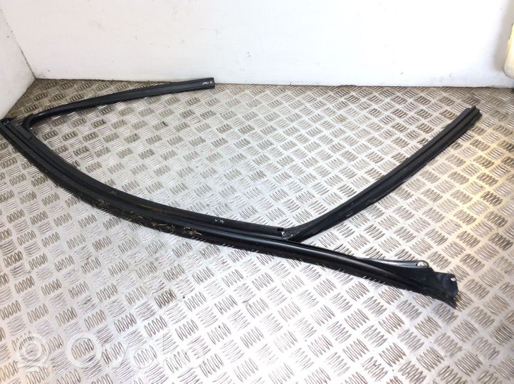 BMW X6 F16 Rubber seal front door (on door) 