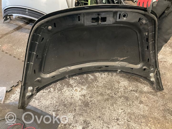 Volkswagen New Beetle Engine bonnet/hood 