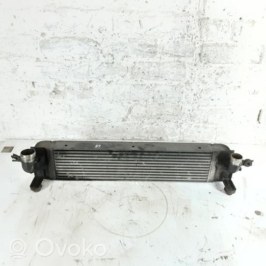 Nissan X-Trail T31 Canale guida dell’aria dell’intercooler 14461JG70B