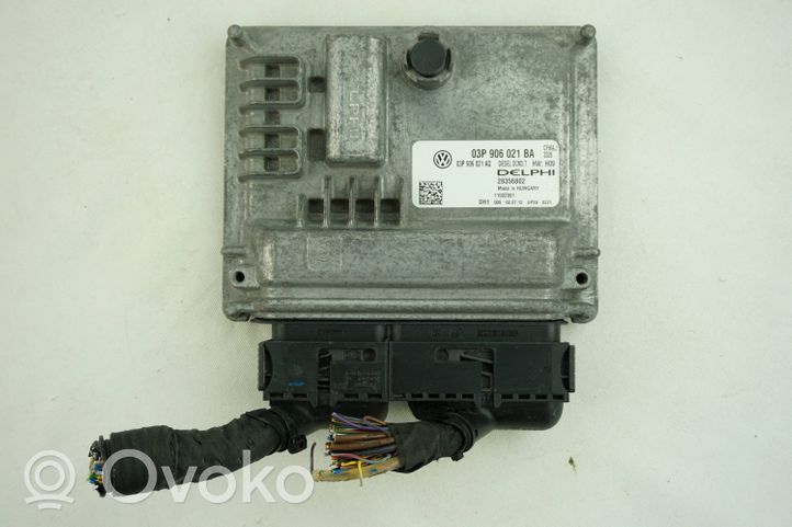 Skoda Roomster (5J) Centralina/modulo motore ECU 03P906021BA