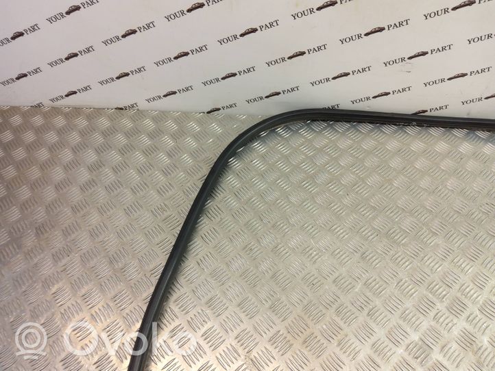 BMW X3 F25 Rubber seal front door (on door) 7205697