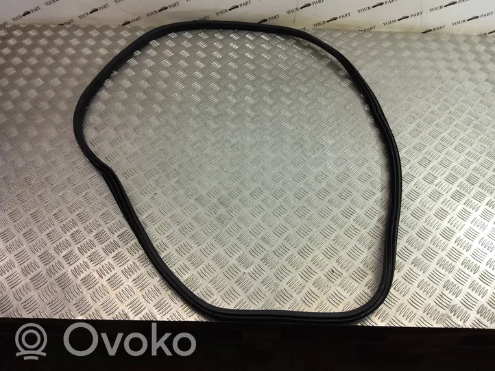 BMW X1 F48 F49 Front door rubber seal 7349628