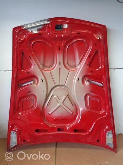 Ferrari 599 GTB GTO Vano motore/cofano 