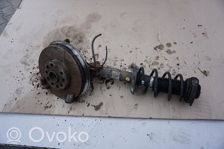 Volkswagen Cross Touran I Front wheel hub spindle knuckle 