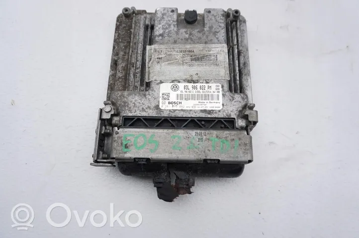 Volkswagen Eos Unité de commande, module ECU de moteur 