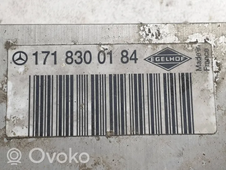 Mercedes-Benz B W245 Zawór rozprężny klimatyzacji A/C 1718300184