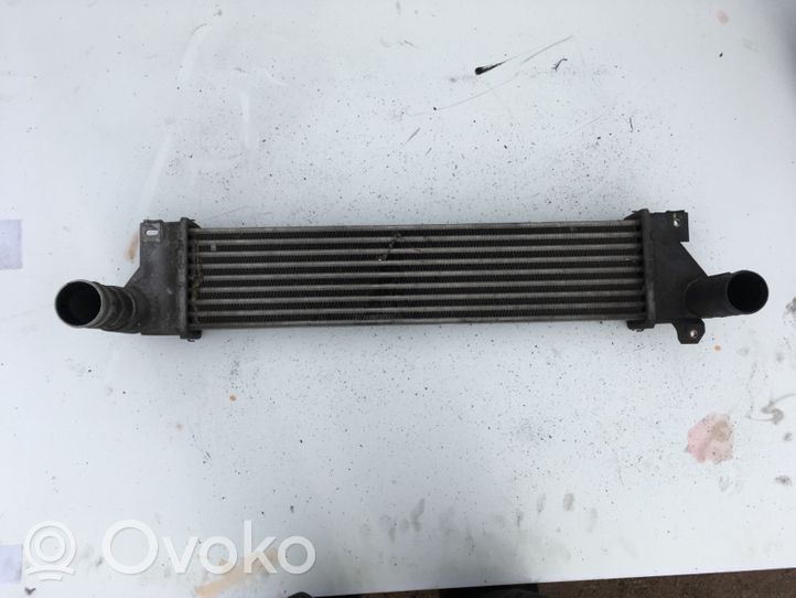 Land Rover Freelander Interkūlera radiators 