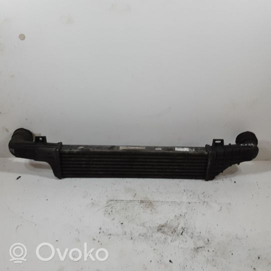 Mercedes-Benz E W210 Canale guida dell’aria dell’intercooler A2105001900