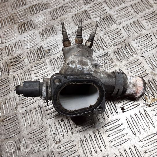 Volkswagen Bora Termostato/alloggiamento del termostato 038121133A