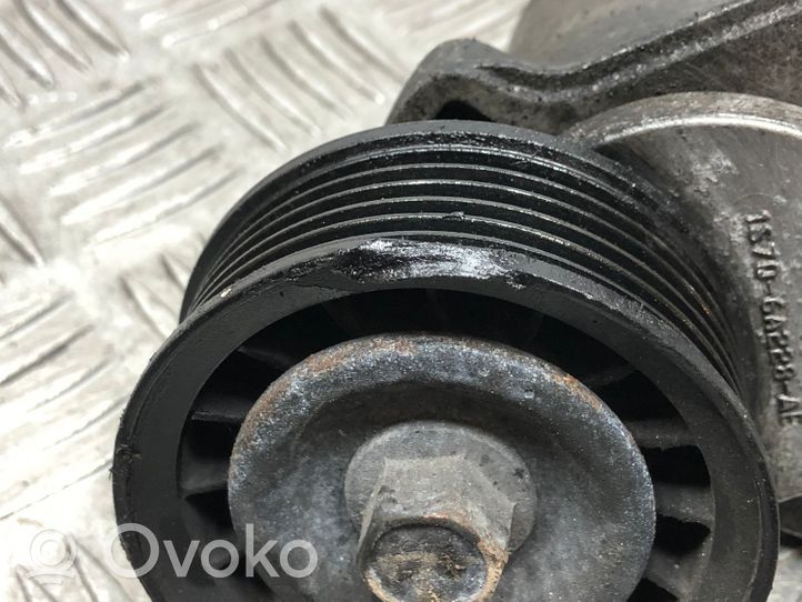 Ford Mondeo Mk III Tensor de la correa del alternador US5647813