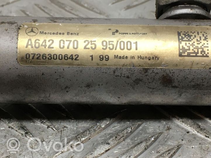 Mercedes-Benz S W221 Kraftstoffverteiler Einspritzleiste Verteilerrohr A64207025