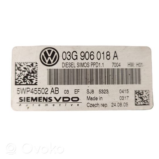 Volkswagen PASSAT B6 Блок управления двигателя 03G906018A