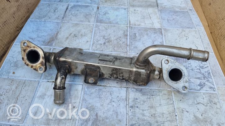 Volkswagen Sharan Refroidisseur de vanne EGR BH0038131513C