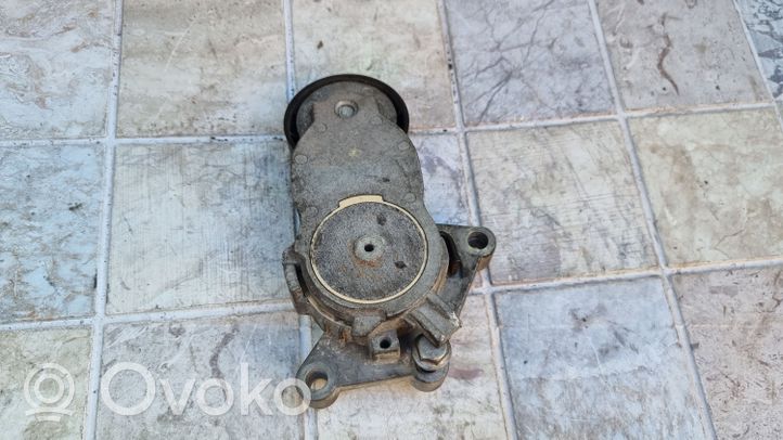 Peugeot 207 CC Generator/alternator belt tensioner 825809