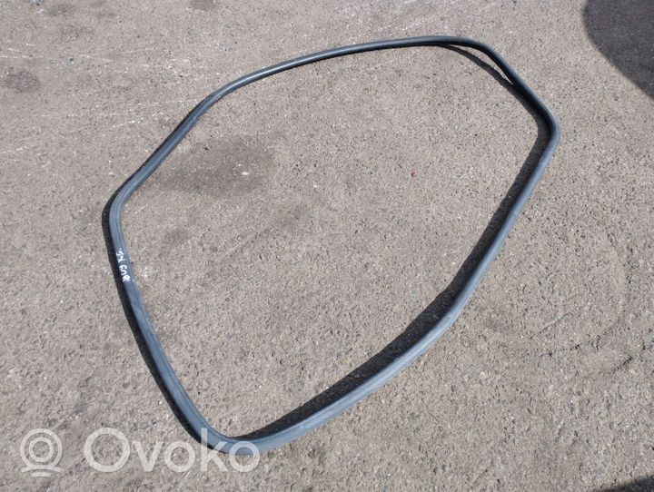 Volkswagen Touareg I Rear door rubber seal (on body) 