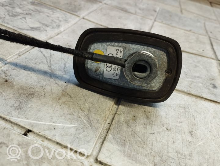 Audi A6 S6 C6 4F Radion antenni 4F5035503G