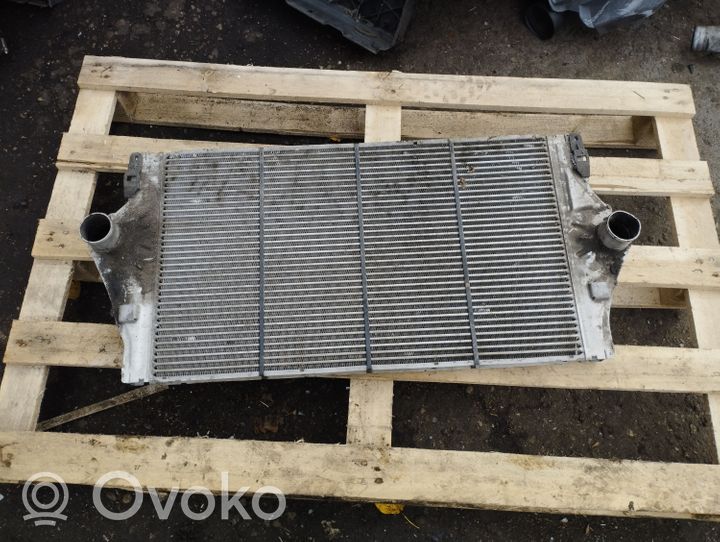 Renault Vel Satis Chłodnica powietrza doładowującego / Intercooler 8200075810