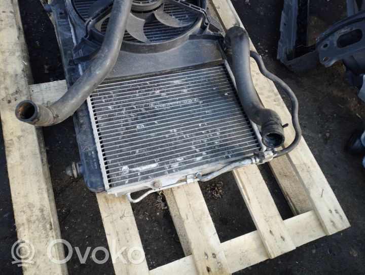 Hyundai Santa Fe Radiateur de refroidissement 2531026410