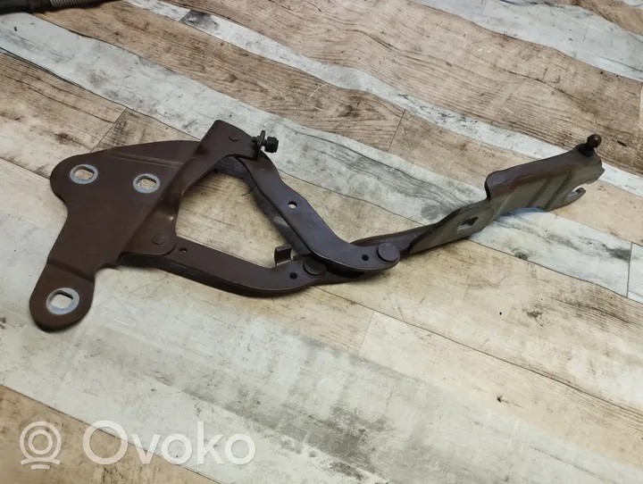 BMW X1 E84 Engine bonnet/hood hinges 